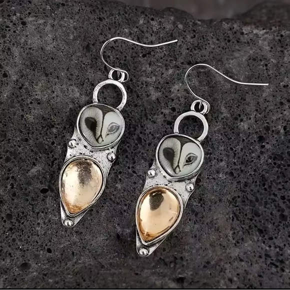 Gothic Owl Silver Tone Earrings - Picture 1 of 4